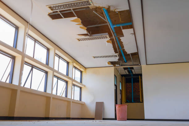 Best Basement water damage restoration  in Winnsboro, LA