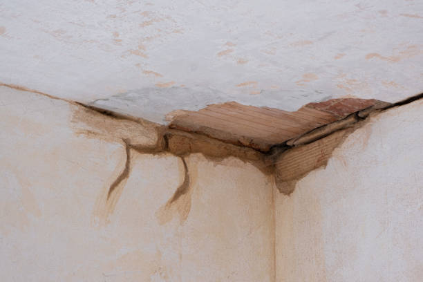 Best 24/7 water damage repair  in Winnsboro, LA