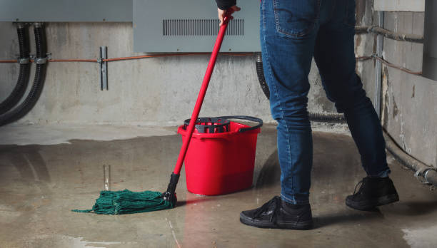  Winnsboro, LA Water damage restoration Pros