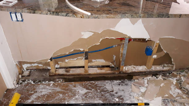 Best Water damage restoration mold remediation  in Winnsboro, LA