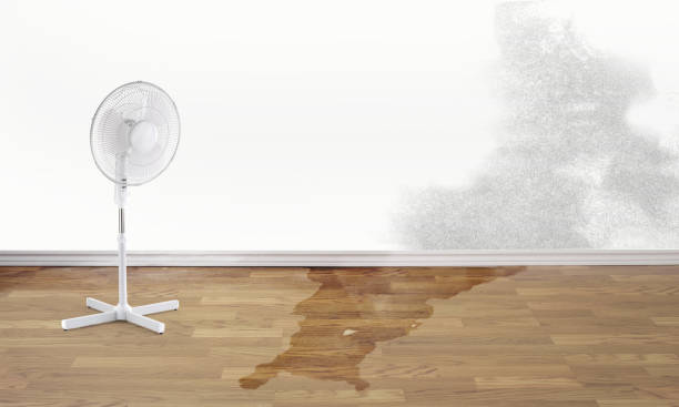 24/7 water damage repair in LA