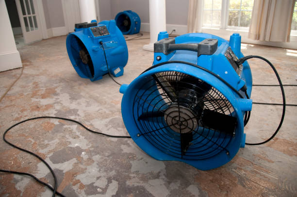 Best Residential water damage restoration  in Winnsboro, LA