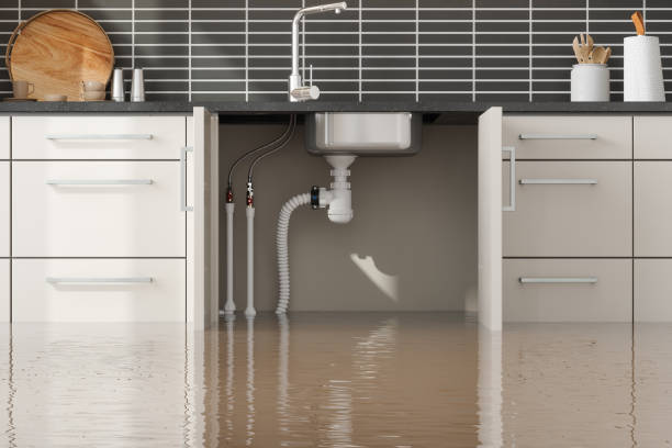 Best Sewage cleanup and water damage restoration  in Winnsboro, LA