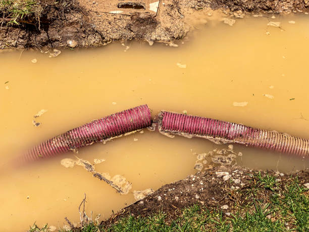 Best Professional water damage repair  in Winnsboro, LA