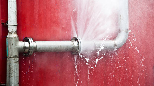 Best Local water damage restoration  in Winnsboro, LA